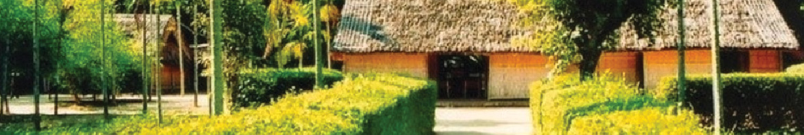 Banner Nhà hàng