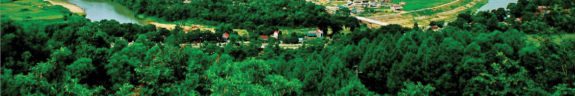 Banner dưới đặc sản và quà tặng