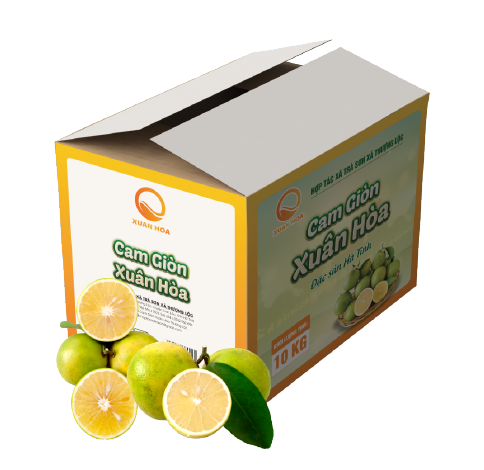 Hộp cam 10 KG