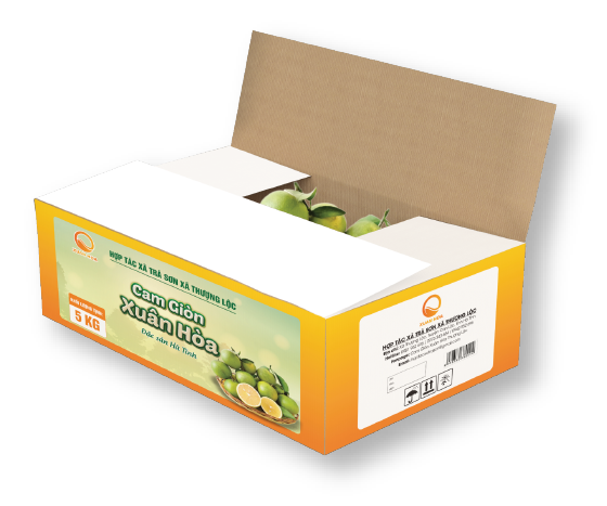 Hộp cam 5 KG