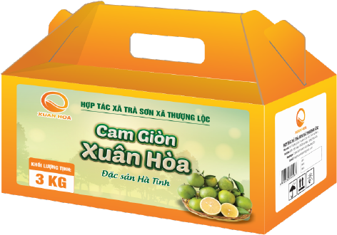 Hộp cam 3 KG