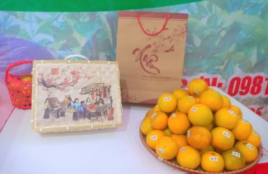 KẾT QUẢ PHÂN TÍCH CHẤT LƯỢNG SẢN PHẨM CAM GIÒN XUÂN HÒA THƯỢNG LỘC KẾT QUẢ PHÂN TÍCH CHẤT LƯỢNG SẢN PHẨM CAM GIÒN XUÂN HÒA THƯỢNG LỘC