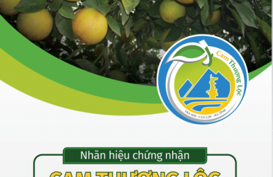 Cam Thượng Lộc - “Ăn” là nhớ cả đời! Cam Thượng Lộc - “Ăn” là nhớ cả đời!