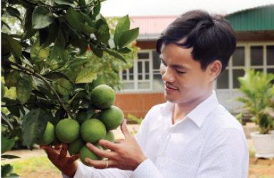 Tự hào thương hiệu Cam giòn Xuân Hòa Tự hào thương hiệu Cam giòn Xuân Hòa