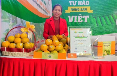 HTX Trà Sơn xã Thượng Lộc vinh dự được trao Giải Khuyến khích tại Lễ Trao giải VietFarm HTX Trà Sơn xã Thượng Lộc vinh dự được trao Giải Khuyến khích tại Lễ Trao giải VietFarm