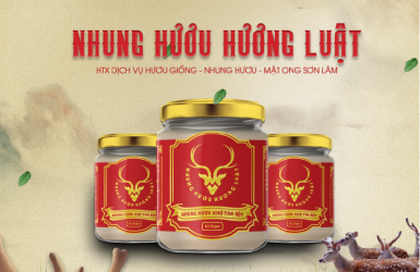 Nhung hươu Hương Luật