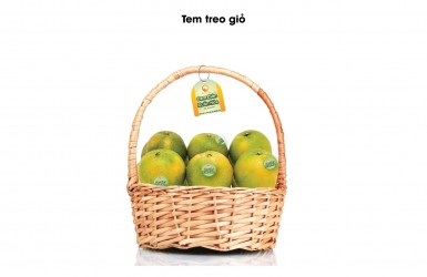 HỒ SƠ TỰ CÔNG BỐ SẢN PHẨM CAM GIÒN XUÂN HÒA THƯỢNG LỘC HỒ SƠ TỰ CÔNG BỐ SẢN PHẨM CAM GIÒN XUÂN HÒA THƯỢNG LỘC