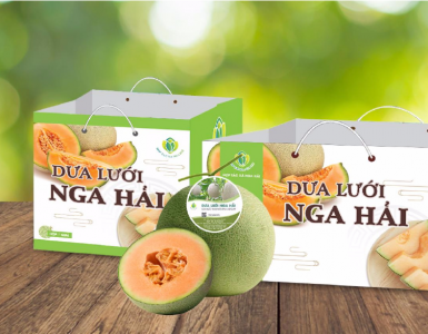 Dưa lưới Nga Hải - Vườn dưa lưới đạt chuẩn VietGAP đầu tiên ở Hà Tĩnh